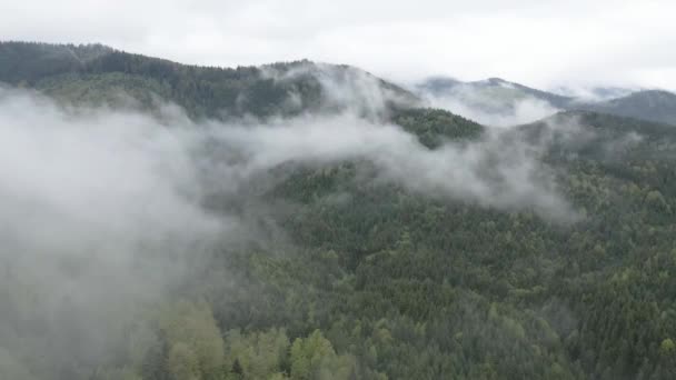 Ukraine, Carpates : brouillard dans les montagnes. Aérien. Gris, plat — Video