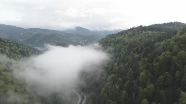 Ucrania, Cárpatos: Niebla en las montañas. Aérea. Gris, plano — Vídeo de stock