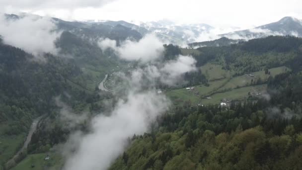 Ukrajina, Karpaty: mlha v horách. Letecký. Šedá, plochá — Stock video