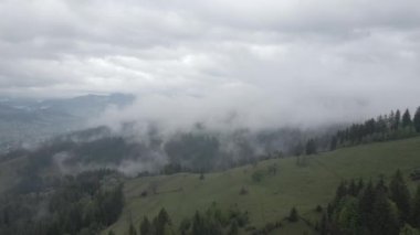 Ukrayna, Karpatlar: Dağlarda sis. Havadan. Gri, düz