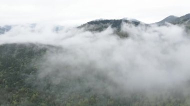 Ukrayna, Karpatlar: Dağlarda sis. Havadan. Gri, düz