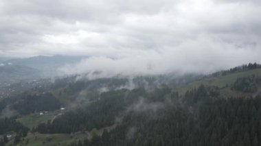 Ukrayna, Karpatlar: Dağlarda sis. Havadan. Gri, düz