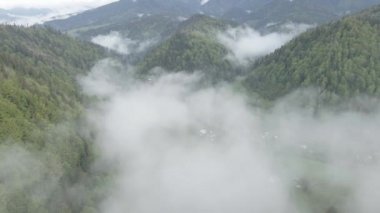 Ukrayna, Karpatlar: Dağlarda sis. Havadan. Gri, düz