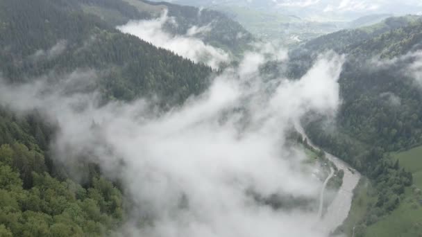 ウクライナ、カルパティア:山の中で霧。空中だ。グレー、フラット — ストック動画