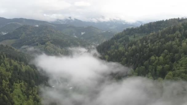 Ukrayna, Karpatlar: Dağlarda sis. Havadan. Gri, düz — Stok video