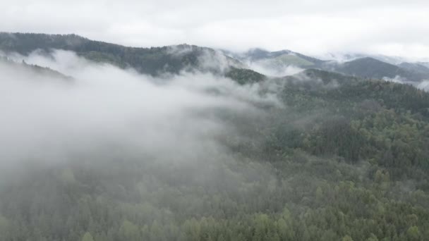 Ουκρανία, Καρπάθια: Ομίχλη στα βουνά. Εναέρια. Γκρι, επίπεδο — Αρχείο Βίντεο