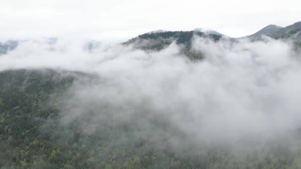Ukraine, Karpaten: Nebel in den Bergen. Antenne. Grau, flach — Stockvideo