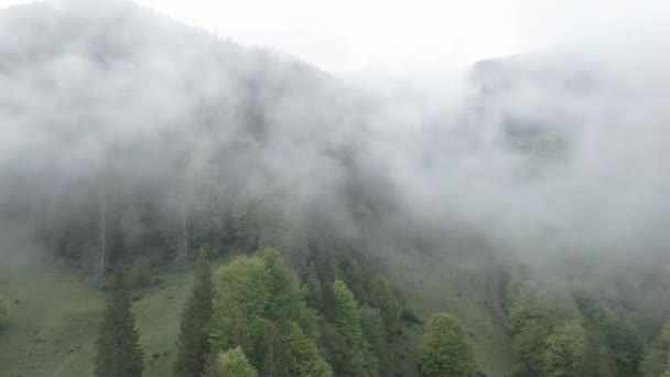 Ukraine, Carpates : brouillard dans les montagnes. Aérien. Gris, plat — Video