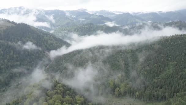 Ukraina, Karpaterna: Dimma i bergen. Flygplan. Grå, platt — Stockvideo