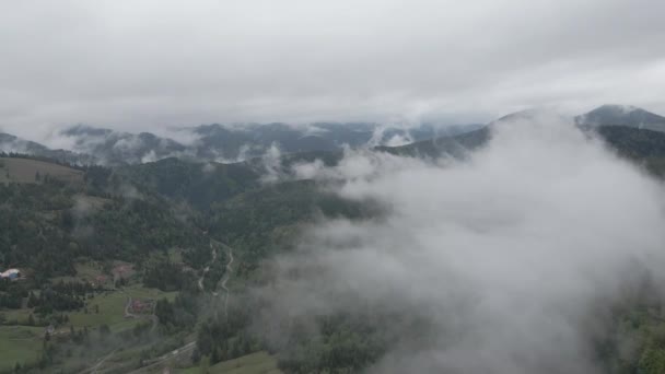 Ukraine, Karpaten: Nebel in den Bergen. Antenne. Grau, flach — Stockvideo