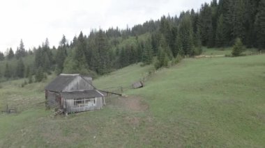 Ukrayna, Karpat Dağları: Dağlardaki Ev Havacılık. Düz, gri