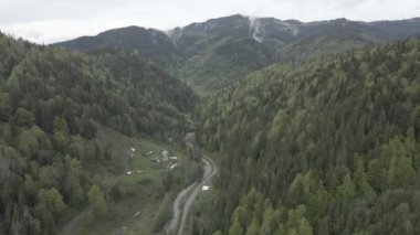 Ukrayna, Karpat Dağları: Güzel dağ ormanları. Hava, düz, gri