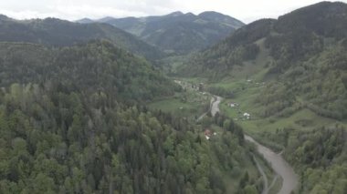 Ukrayna, Karpat Dağları: Güzel dağ ormanları. Hava, düz, gri