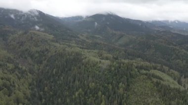 Ukrayna, Karpat Dağları: Güzel dağ ormanları. Hava, düz, gri