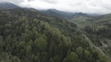 Ukrayna, Karpat Dağları: Güzel dağ ormanları. Hava, düz, gri