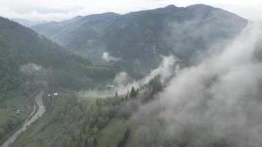 Ukrayna, Karpat Dağları: Güzel dağ ormanları. Hava, düz, gri