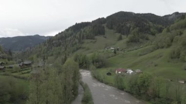 Ukrayna, Karpat Dağları: Dağlardaki Nehir. Havadan. Gri, düz