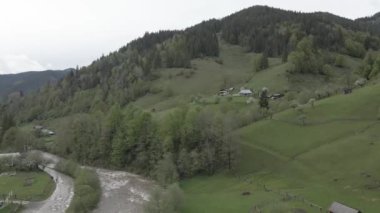 Ukrayna, Karpat Dağları: Dağlardaki Nehir. Havadan. Gri, düz