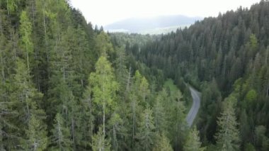 Ukrayna, Karpat Dağları: Dağlardaki Yol. Hava, Gri, düz