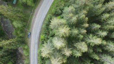 Ukrayna, Karpat Dağları: Dağlardaki Yol. Hava, Gri, düz