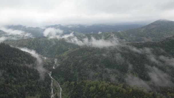 Ucrania, Montañas Cárpatas: Hermoso paisaje forestal de montaña. Aérea, plana, gris — Vídeo de stock