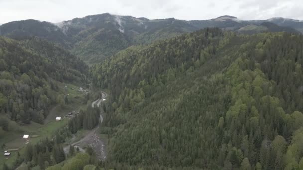 Ukrajna, Kárpátok: Gyönyörű hegyvidéki erdős táj. Légi, lapos, szürke — Stock videók