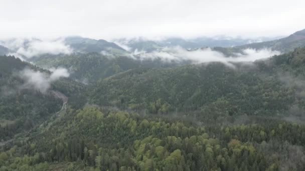 Ukrajina, Karpaty: Krásná horská lesní krajina. Letecký, plochý, šedý — Stock video