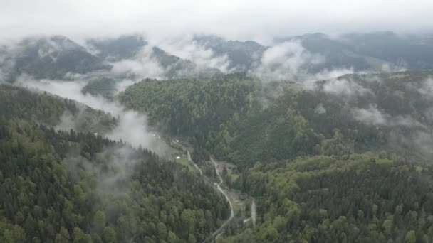 Ucrânia, Montanhas Cárpatas: bela paisagem de floresta montanhosa. Aéreo, plano, cinza — Vídeo de Stock