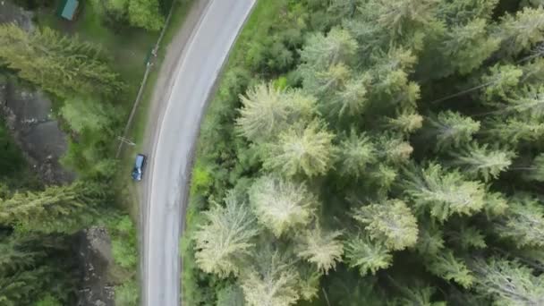 Ukraine, Carpathian Mountains: Road in the Mountains. Aerial, Gray, flat — Stock Video