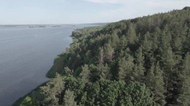Dnipro Nehri. Hava görüntüsü. Ukrayna 'nın simgesi, düz, gri