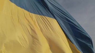 Rüzgarda savrulan Ukrayna bayrağı. Kyiv. Düz, gri