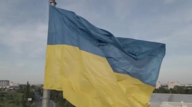 Rüzgarda savrulan Ukrayna bayrağı. Kyiv. Düz, gri