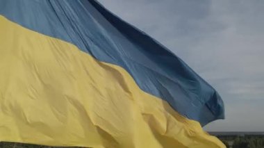 Rüzgarda savrulan Ukrayna bayrağı. Kyiv. Düz, gri