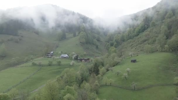Украина, Карпаты: Деревня в горах. Воздушный, плоский, — стоковое видео