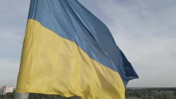 Прапор України на вітрі. Київ. Плоска, сіра. — стокове відео