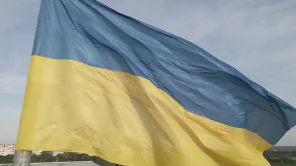 Bandera de Ucrania en el viento. Kiev. Plano, gris — Vídeos de Stock