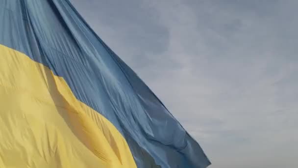 Флаг Украины на ветру. Киев. Плоский, серый — стоковое видео
