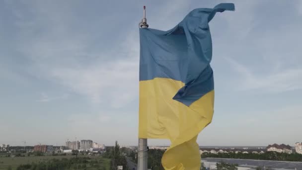 Σημαία της Ουκρανίας στον άνεμο. Κίεβο. Επίπεδο, γκρι — Αρχείο Βίντεο