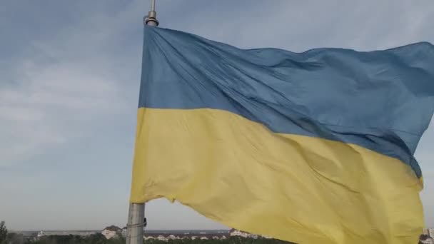 Ukrainas flagga i vinden. Kiev. Platt, grå — Stockvideo