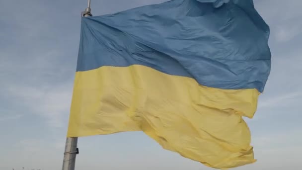 Drapeau de l'Ukraine dans le vent. Kiev. Plat, gris — Video