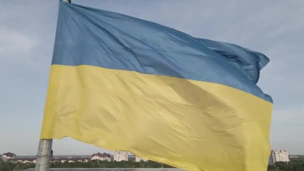 Ukrainas flagga i vinden. Kiev. Platt, grå — Stockvideo