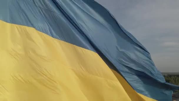 Vlajka Ukrajiny ve větru. Kyjev. Plocha, šedá — Stock video