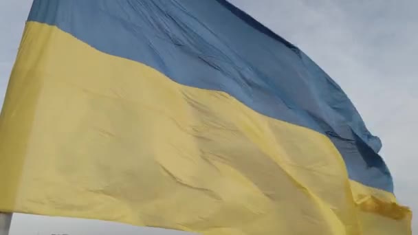 Vlag van Oekraïne in de wind. Kiev. Vlak, grijs — Stockvideo