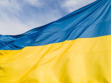 Ukrayna bayrağı. Kyiv. Hava görünümü