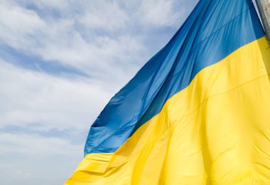 Ukrayna bayrağı. Kyiv. Hava görünümü