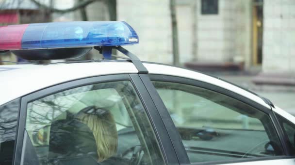 La policía parpadea en el techo del coche patrulla — Vídeos de Stock