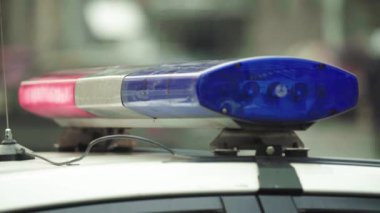 Polis teşhircisi devriye arabasının çatısında yanıp sönüyor.