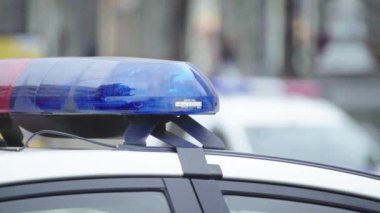 Polis teşhircisi devriye arabasının çatısında yanıp sönüyor.