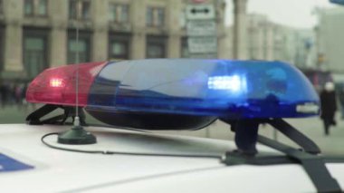 Polis teşhircisi devriye arabasının çatısında yanıp sönüyor.