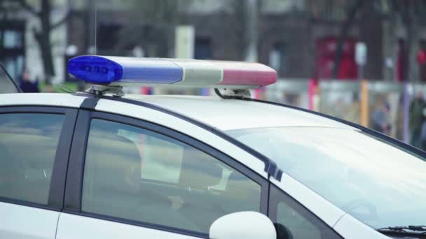 La policía parpadea en el techo del coche patrulla — Vídeos de Stock